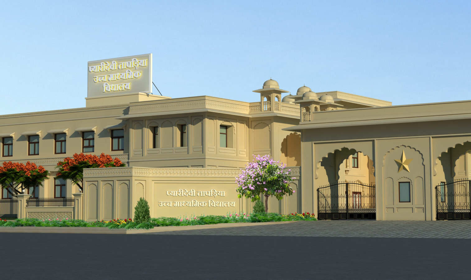 Institutional Project